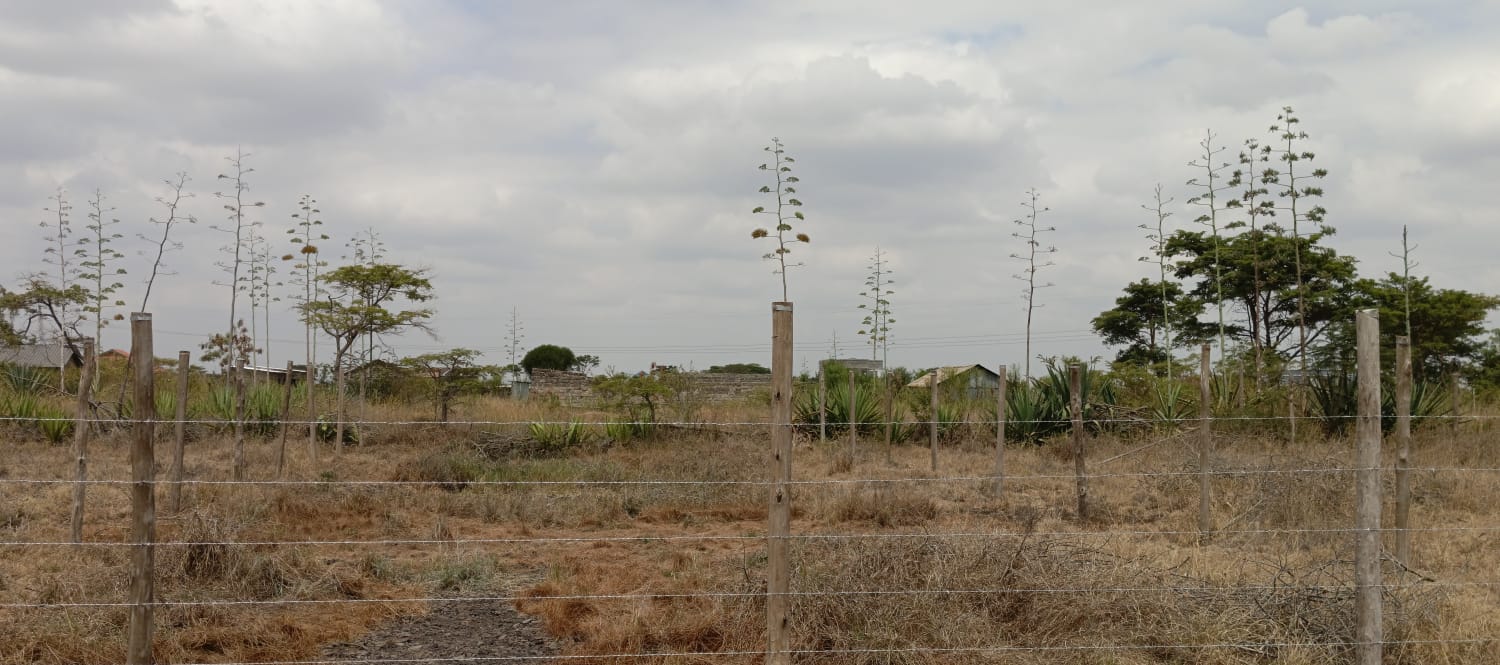 Juja Mumba property